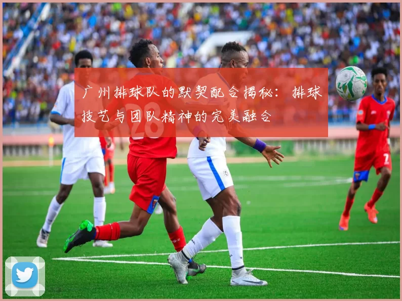 广州排球队的默契配合揭秘：排球技艺与团队精神的完美融合