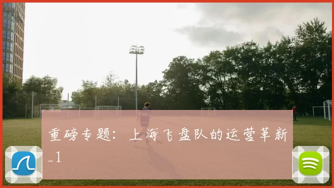 重磅专题：上海飞盘队的运营革新_1