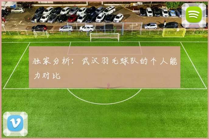 独家分析：武汉羽毛球队的个人能力对比