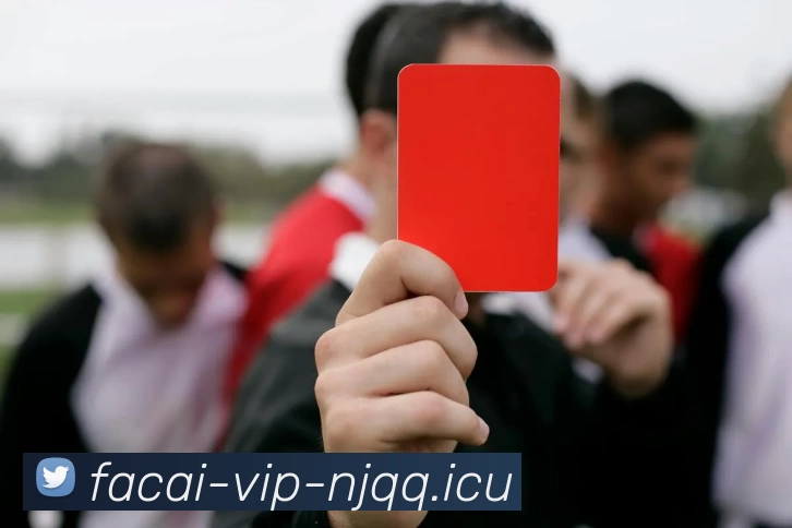 星空体育平台生态图