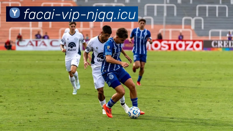 星空体育全站App